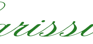 carissimi logo